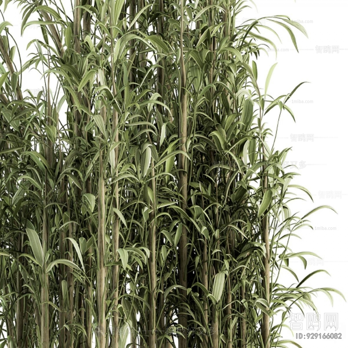 Modern Ground Green Plant Potted Plants