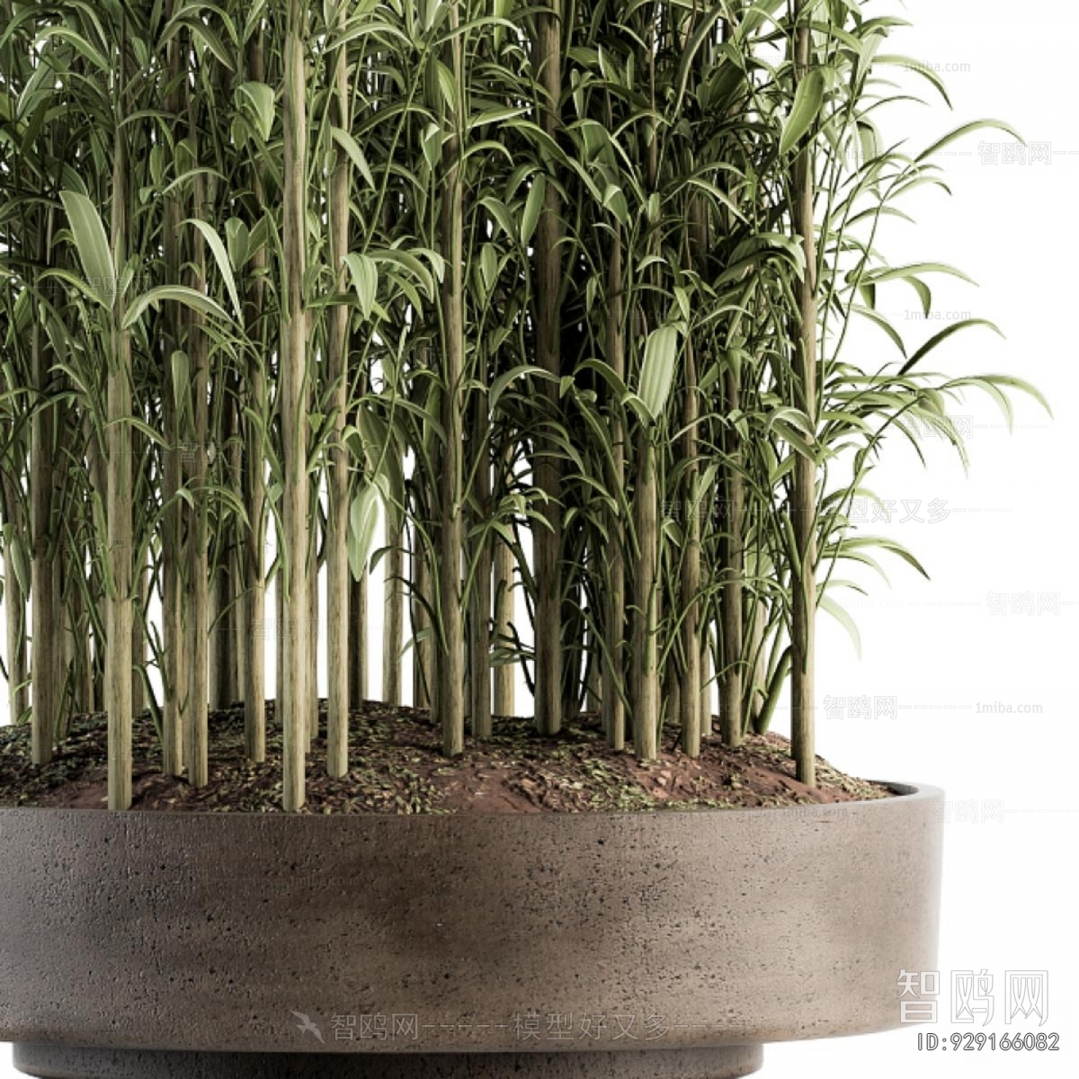 Modern Ground Green Plant Potted Plants