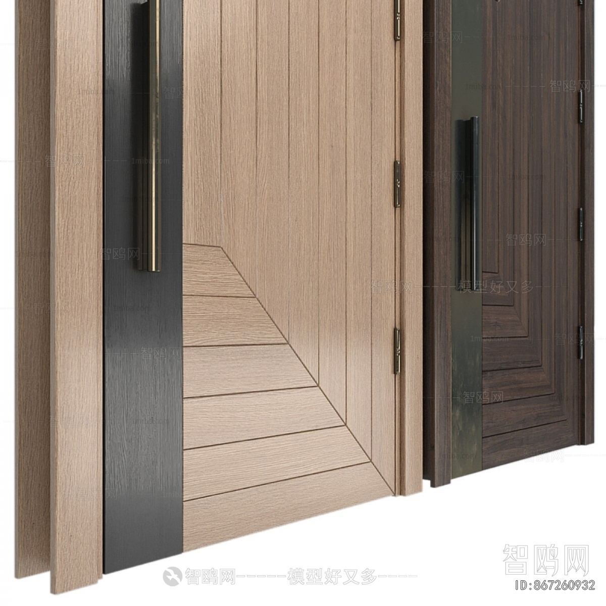 Modern Single Door