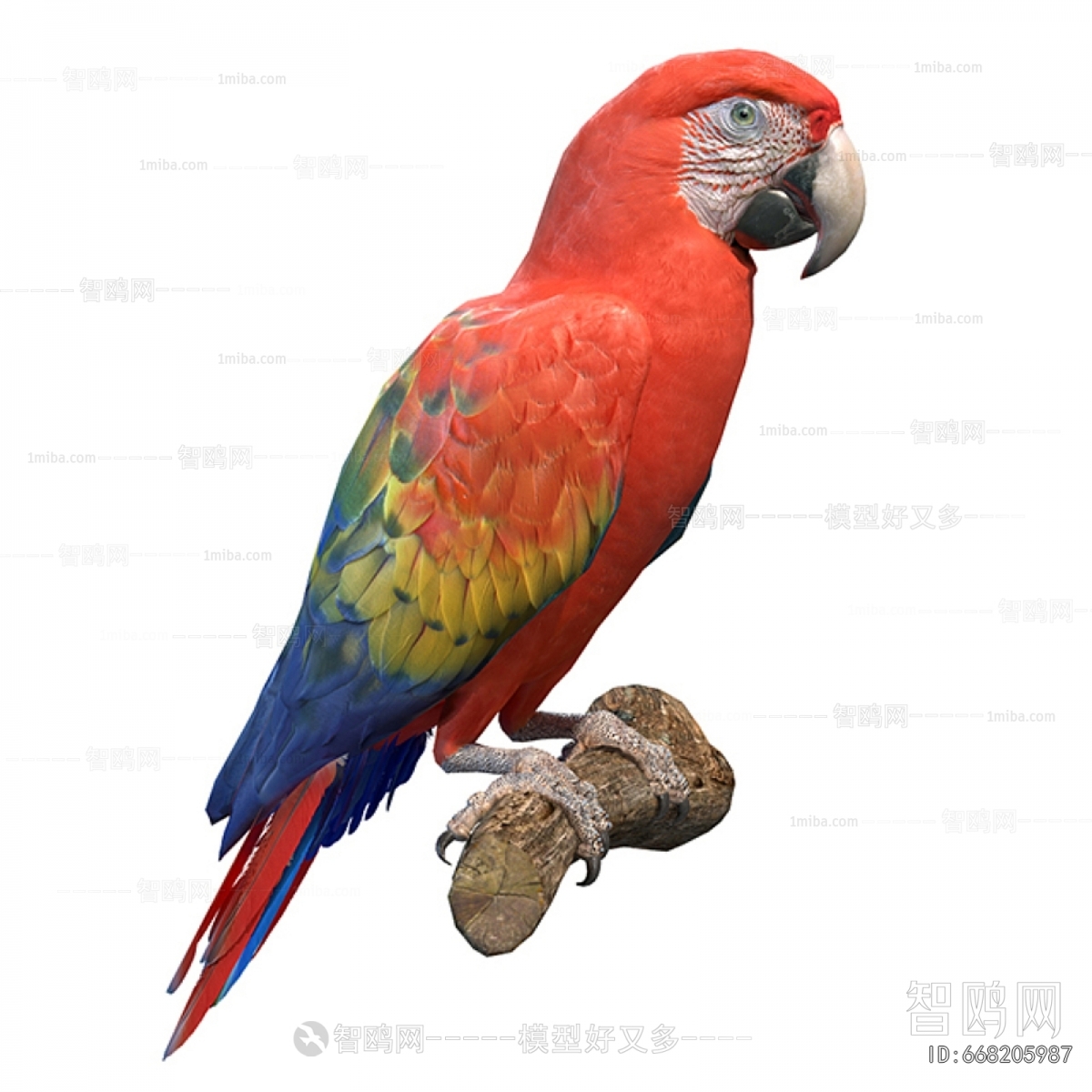 Modern Flying Animals