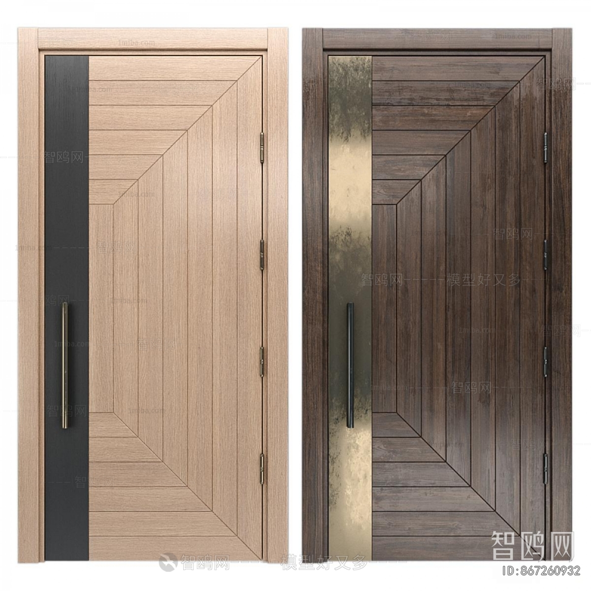 Modern Single Door