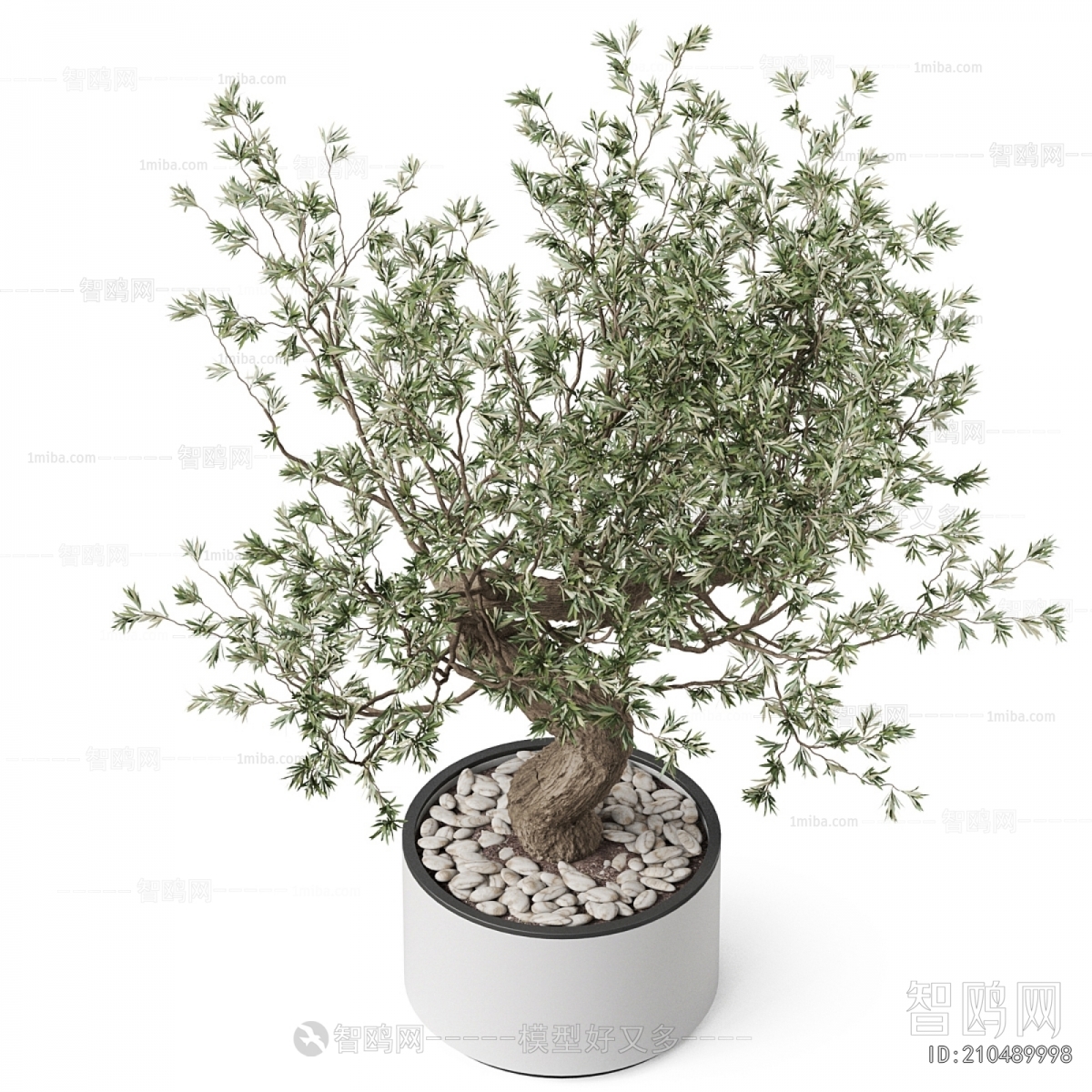Modern Ground Green Plant Potted Plants
