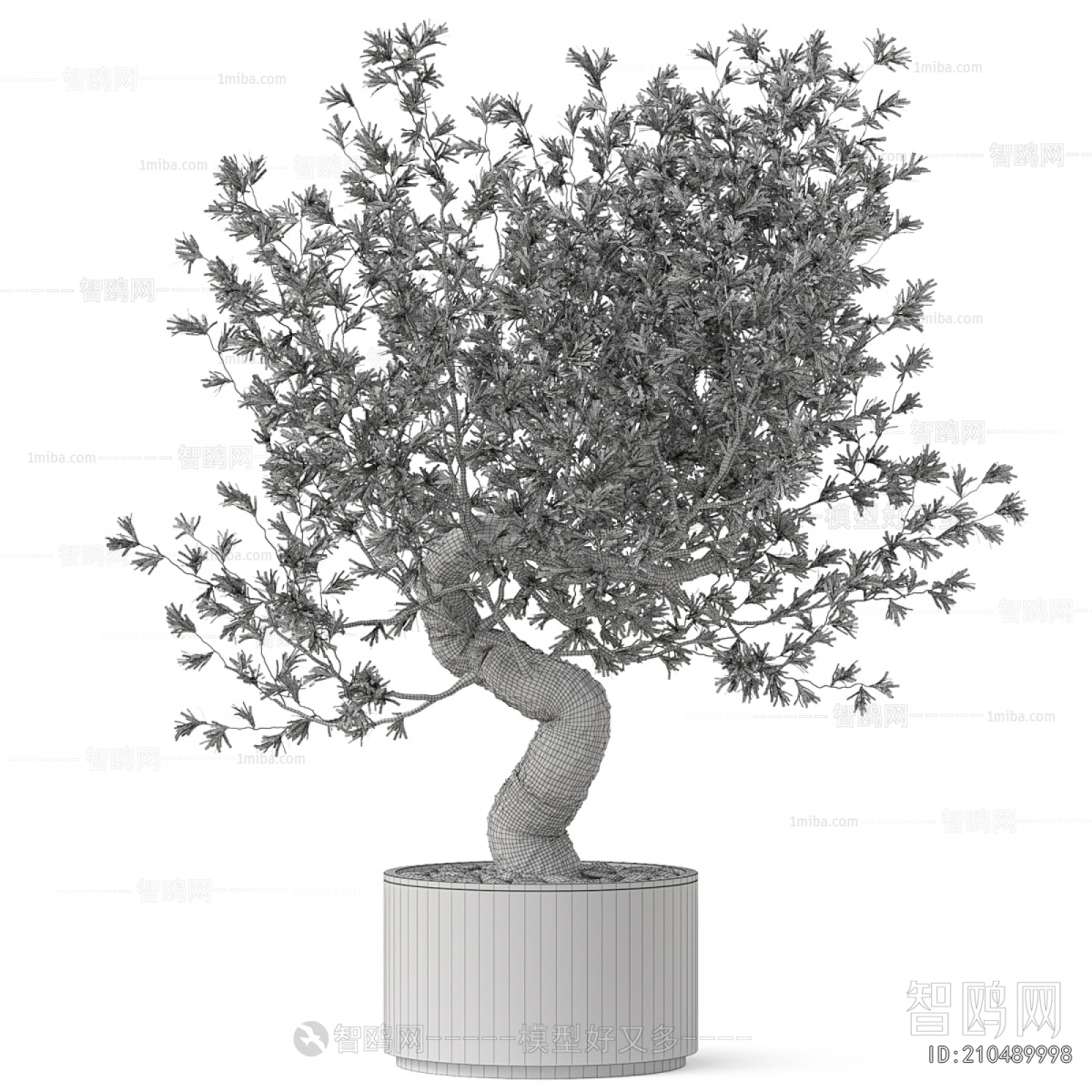 Modern Ground Green Plant Potted Plants