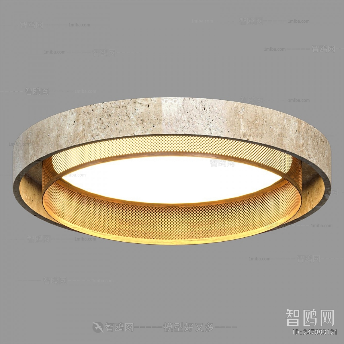 Modern Ceiling Ceiling Lamp