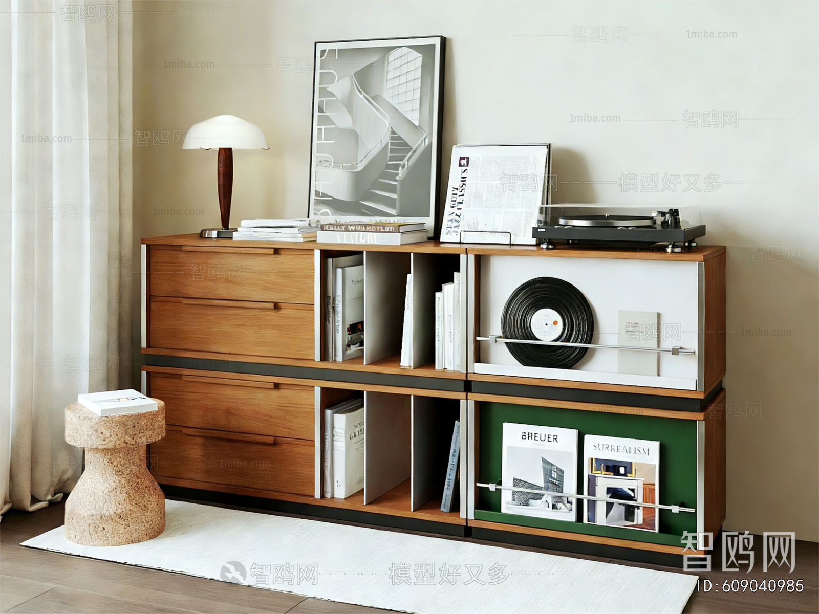 Modern Bookcase