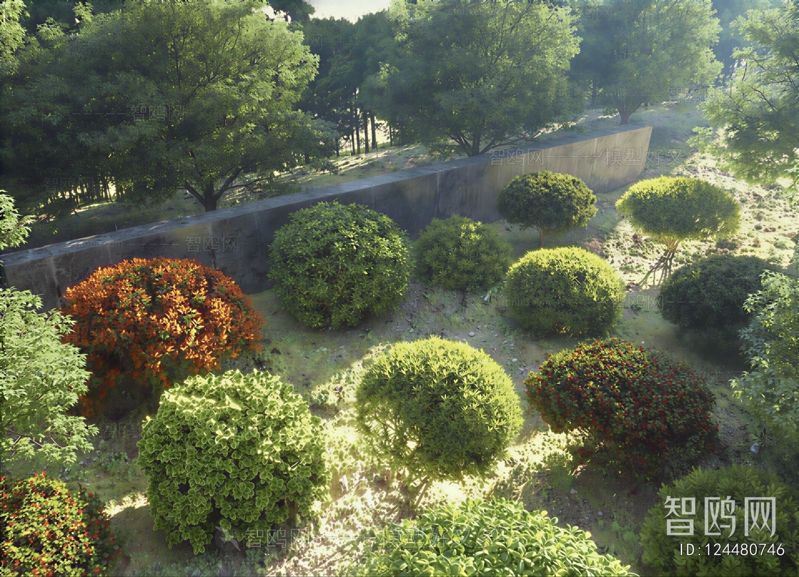Modern Shrubbery