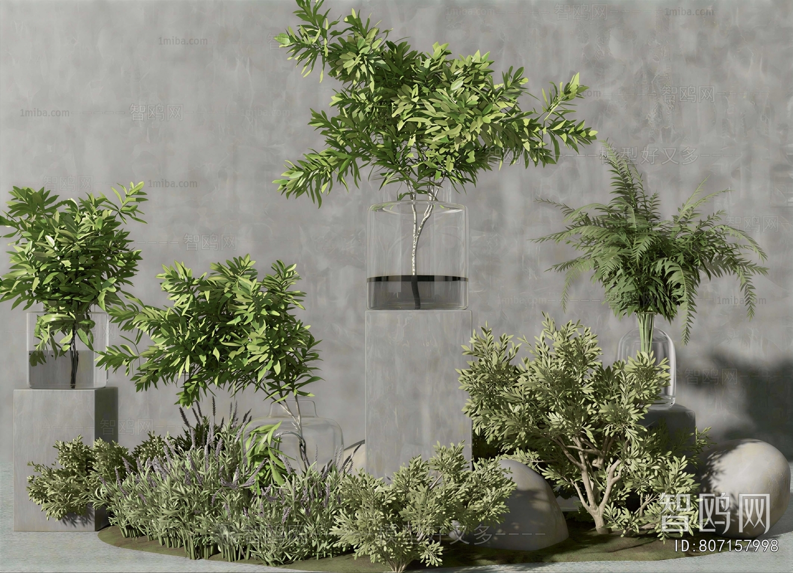 Modern Plant Wall