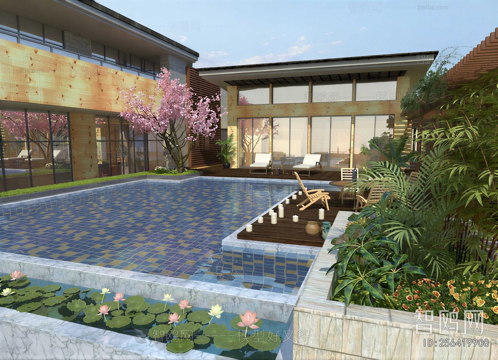 Modern Courtyard/landscape