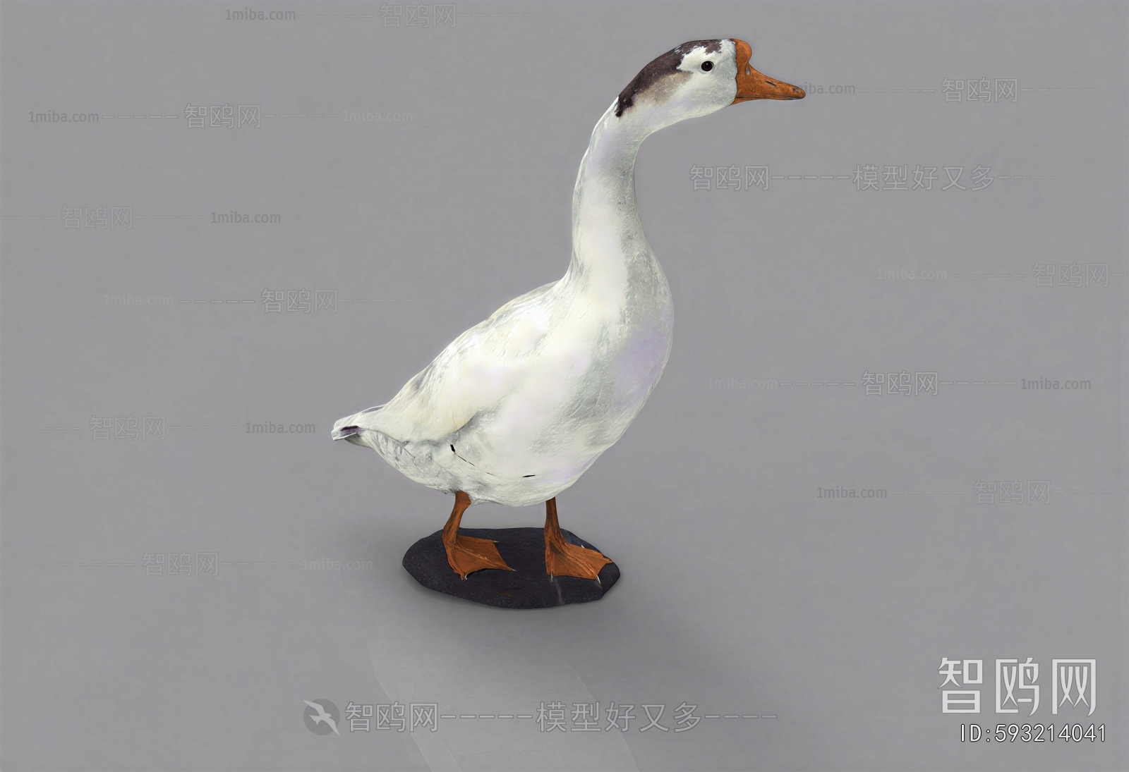 Modern Poultry Animal