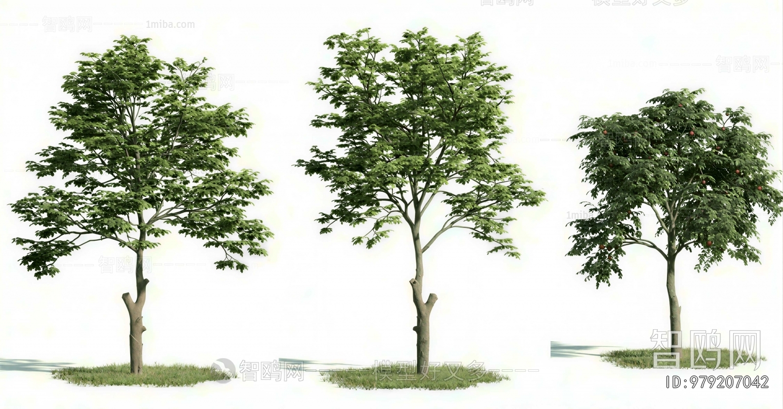Modern Tree