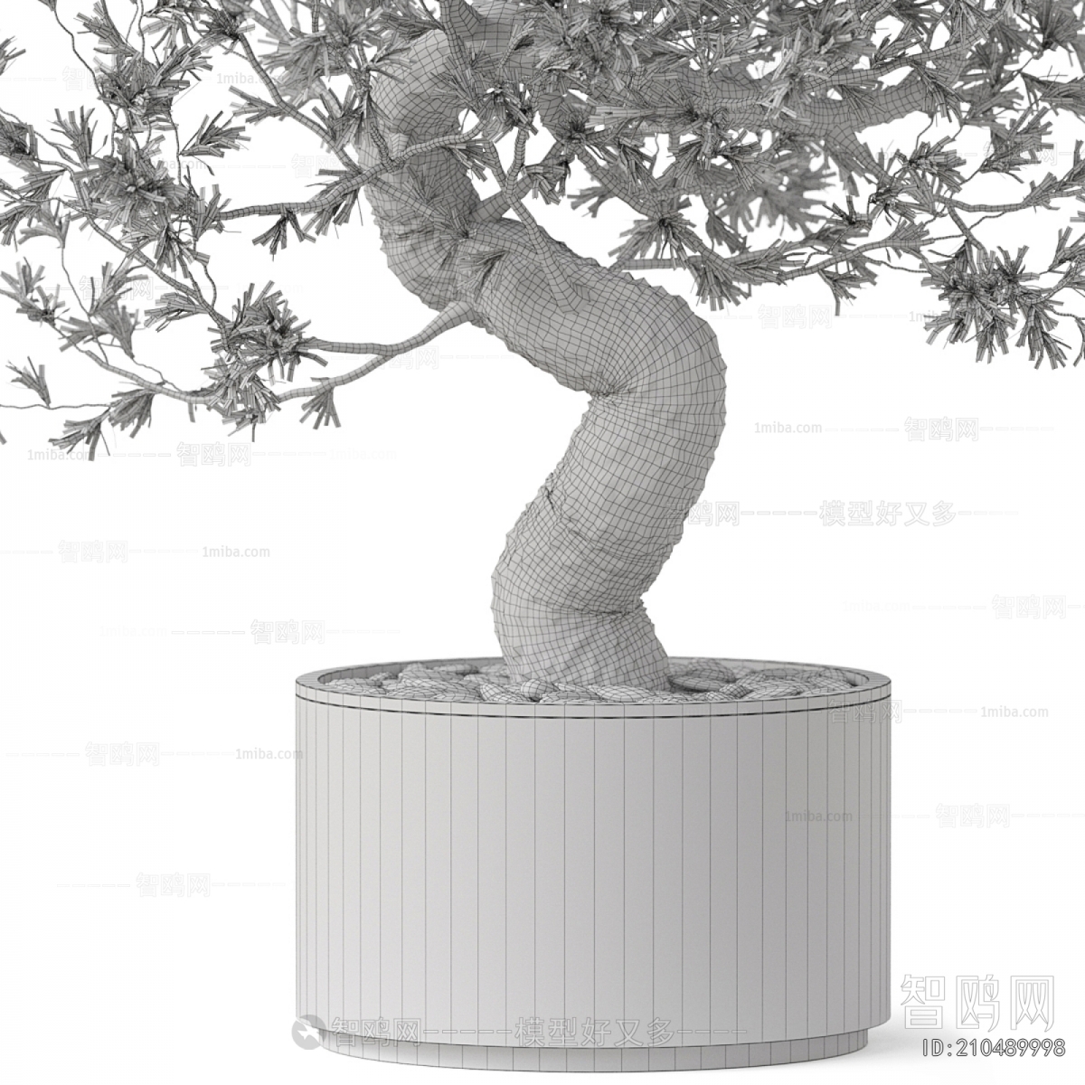 Modern Ground Green Plant Potted Plants