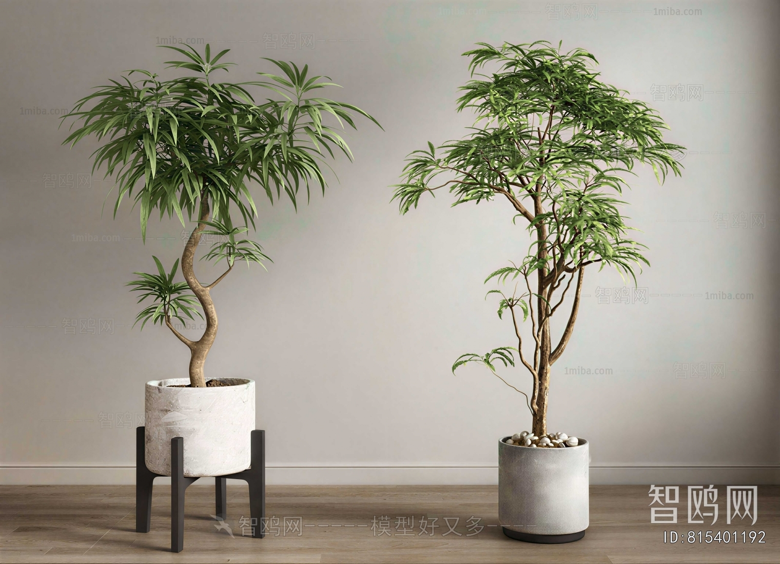 Modern Ground Green Plant Potted Plants