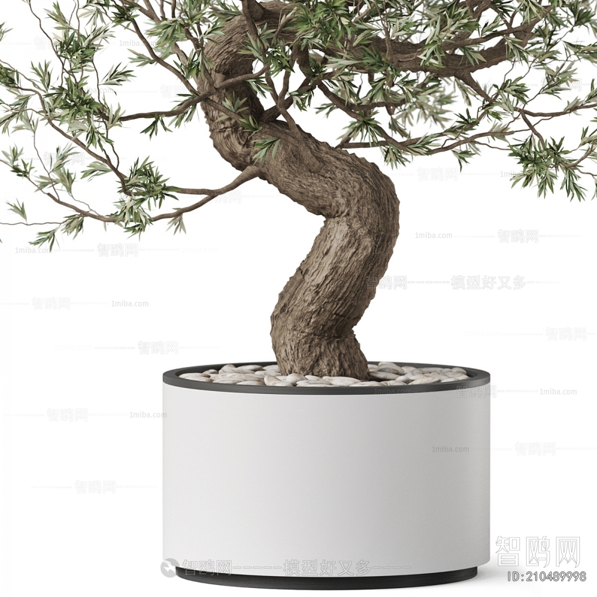 Modern Ground Green Plant Potted Plants