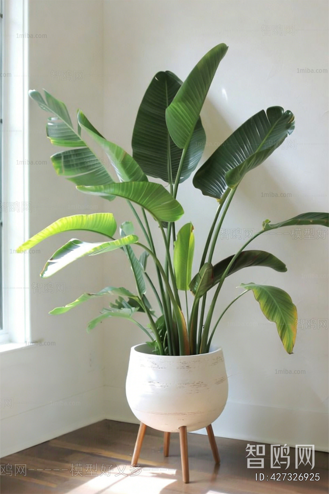 Modern Ground Green Plant Potted Plants