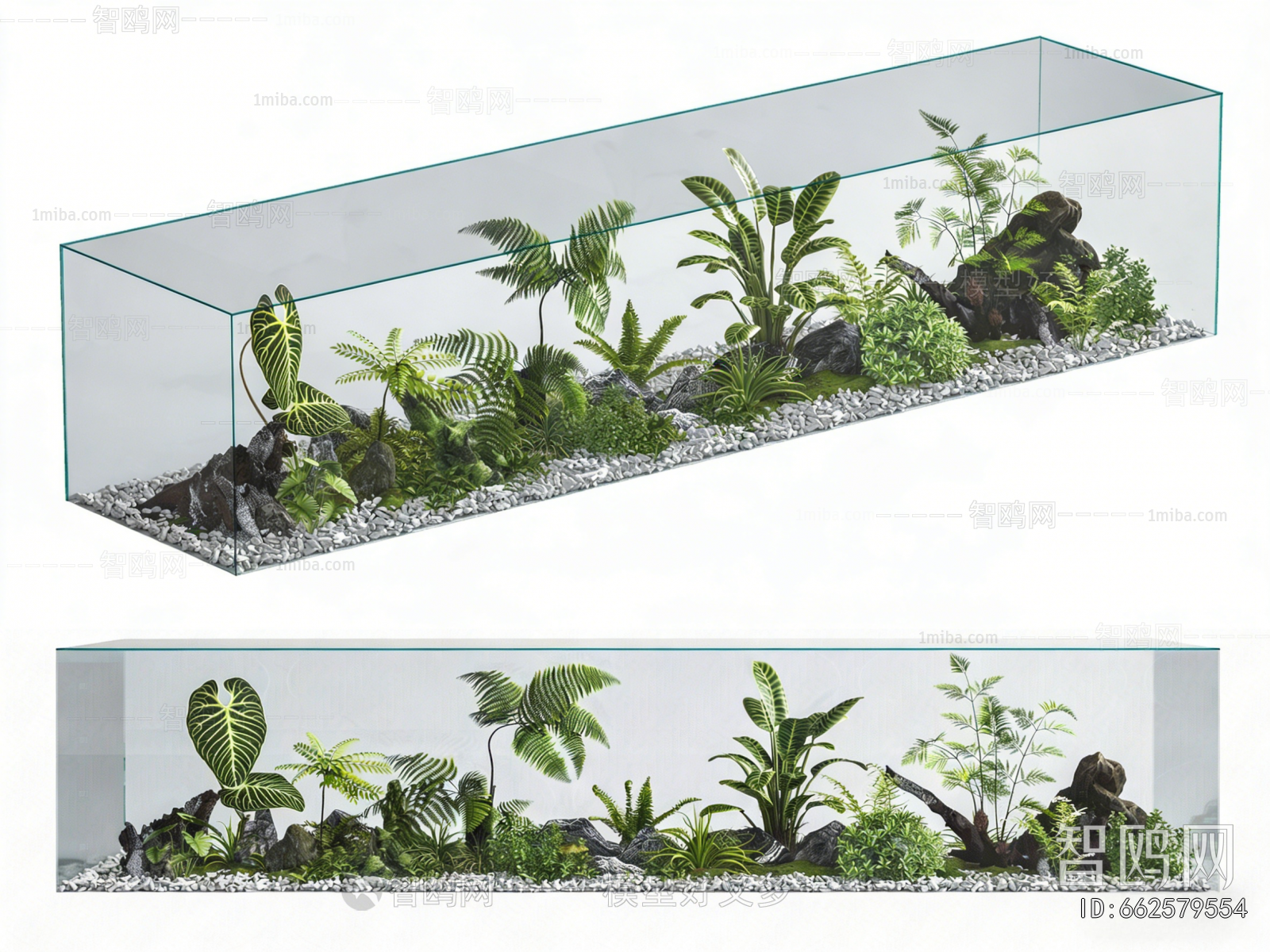 Modern Plant Landscaping