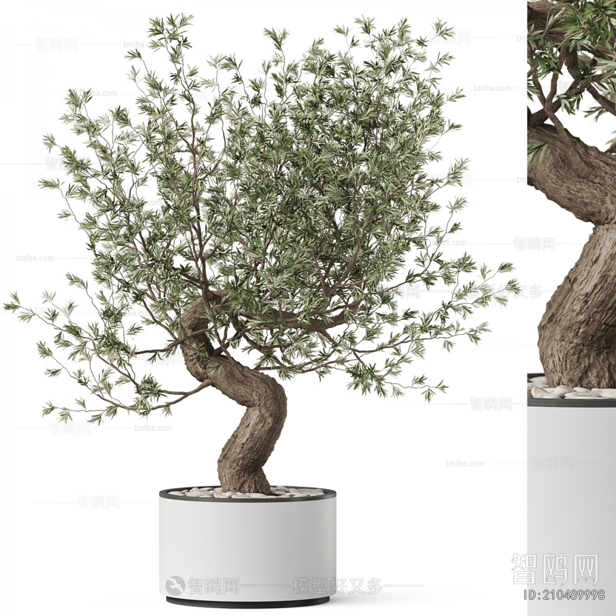 Modern Ground Green Plant Potted Plants