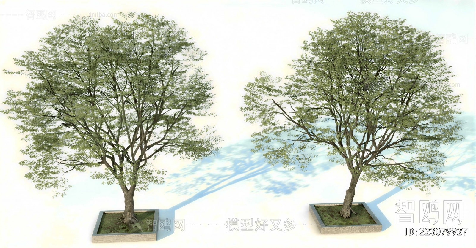 Modern Tree