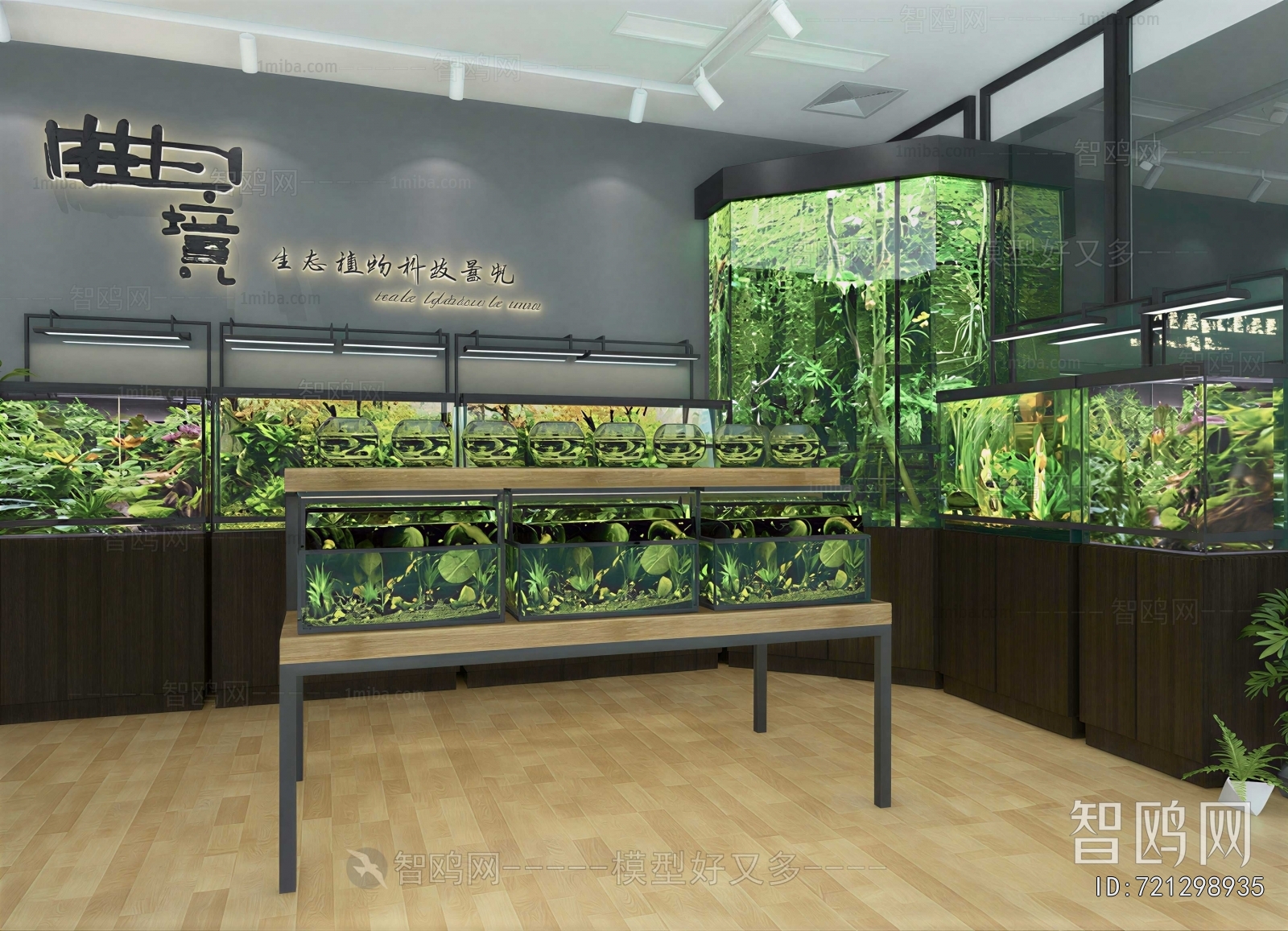 Modern Fish Tank