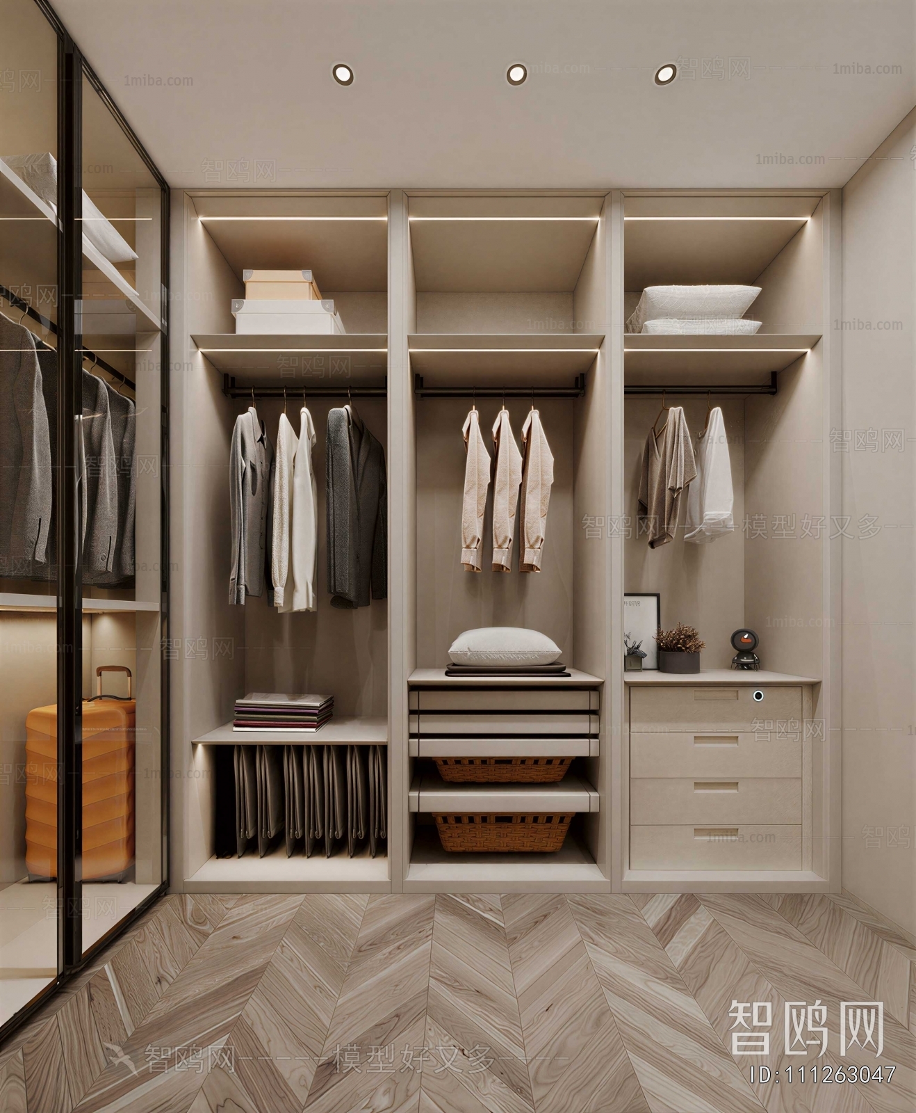 Modern Clothes Storage Area