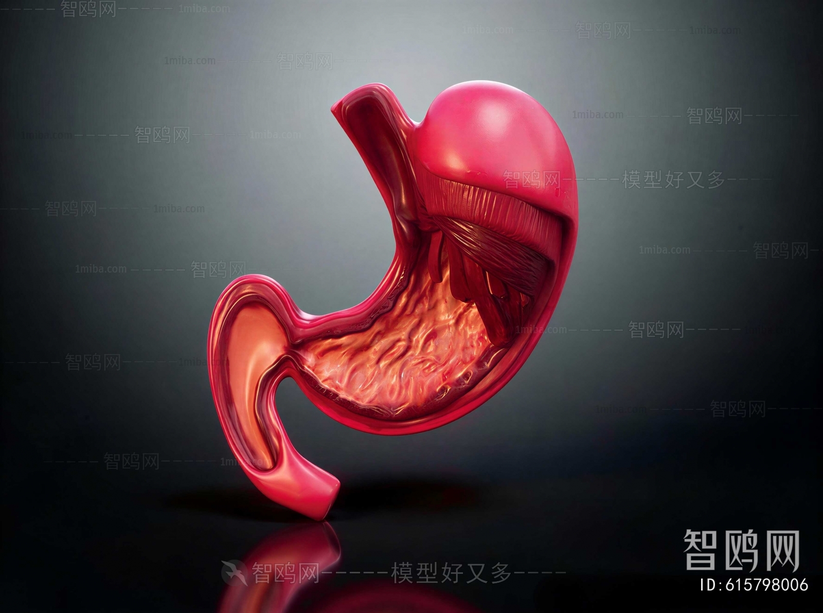 Modern Medical Equipment