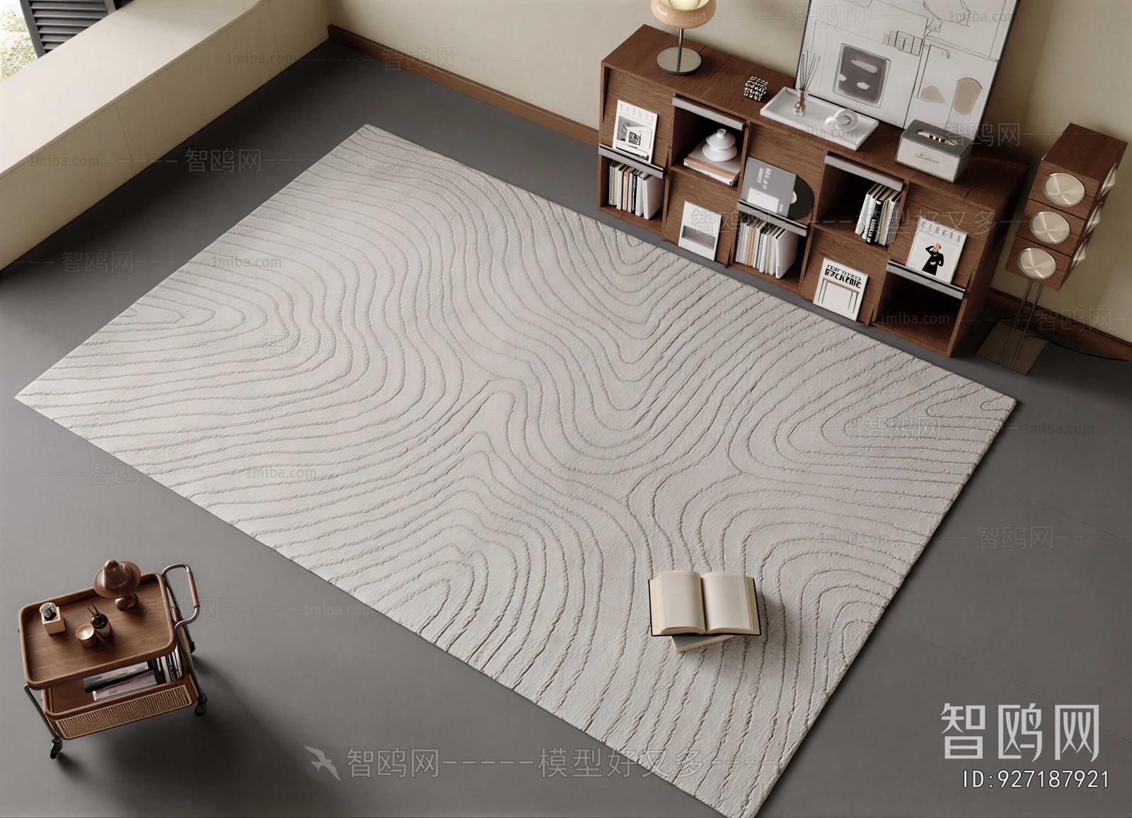 Modern The Carpet
