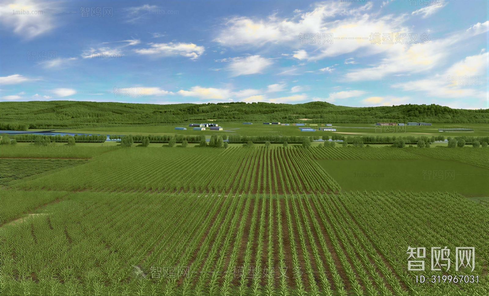 Modern Landscape
