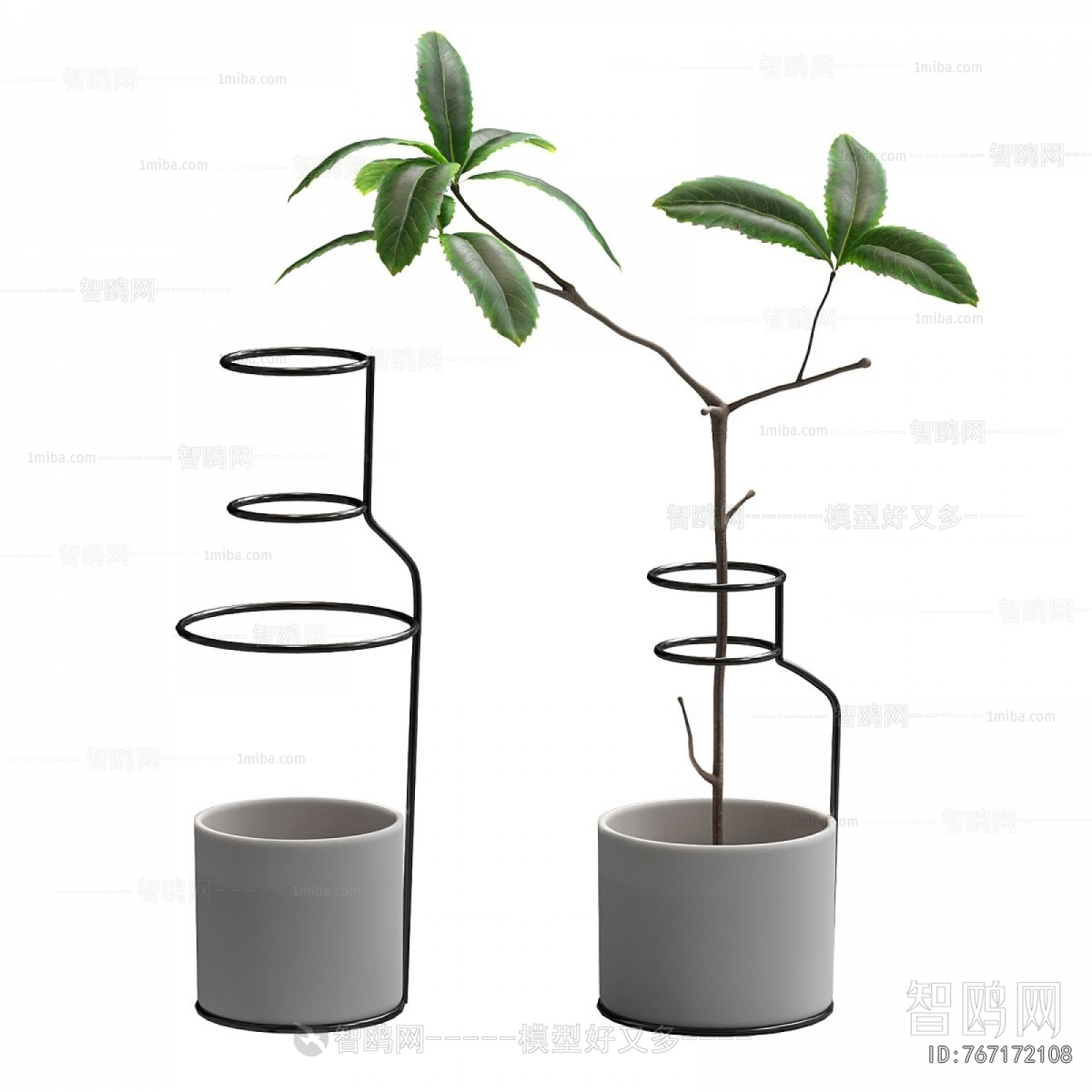 Modern Ground Green Plant Potted Plants