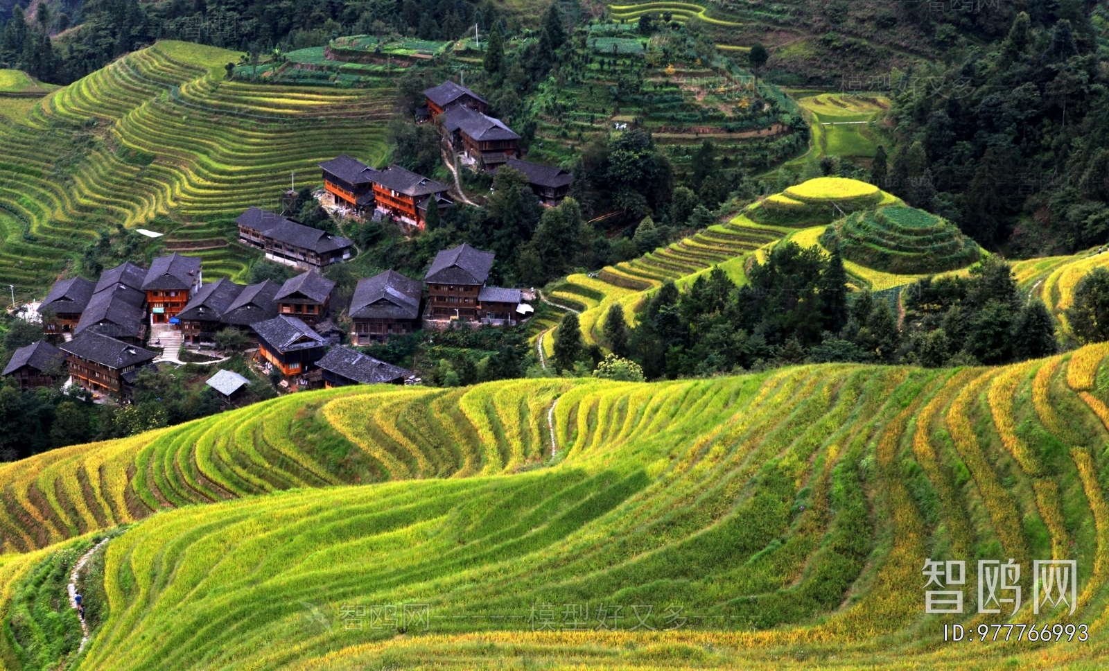 Scenery