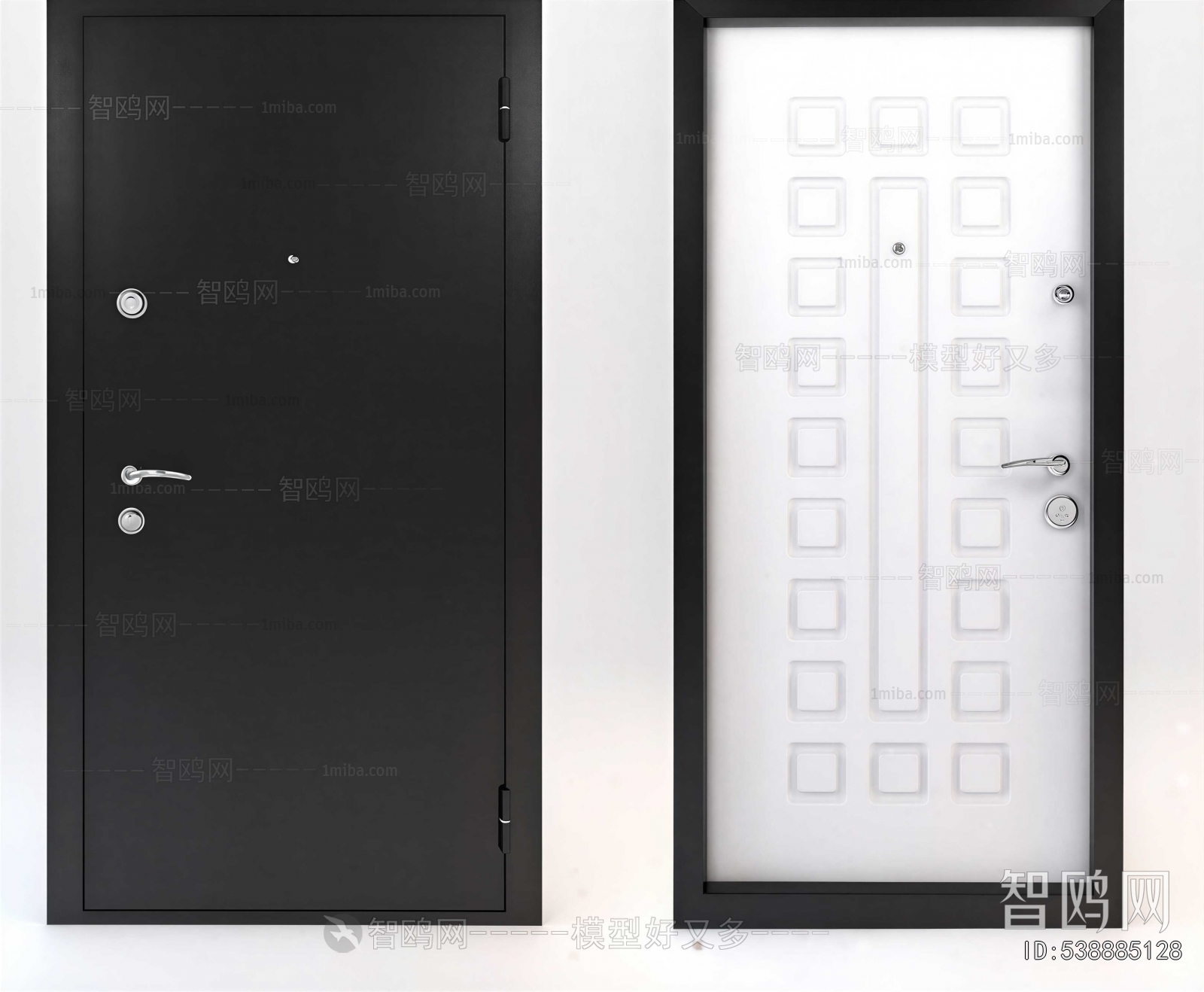 Modern Entrance Door