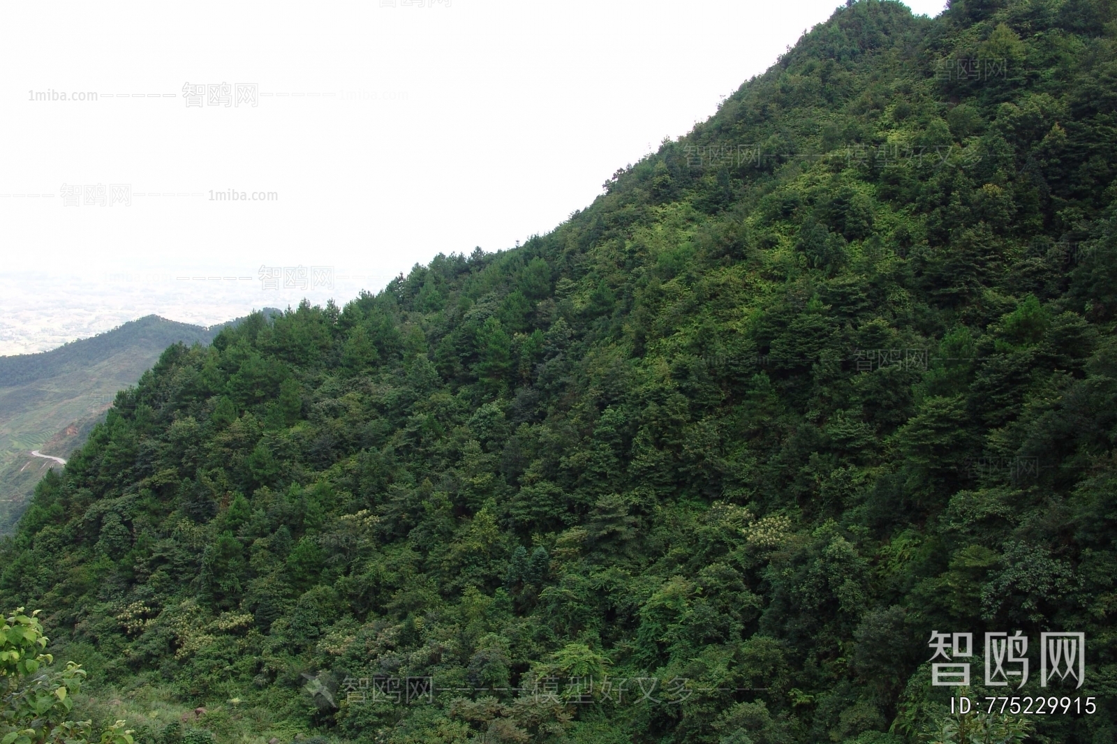 Scenery