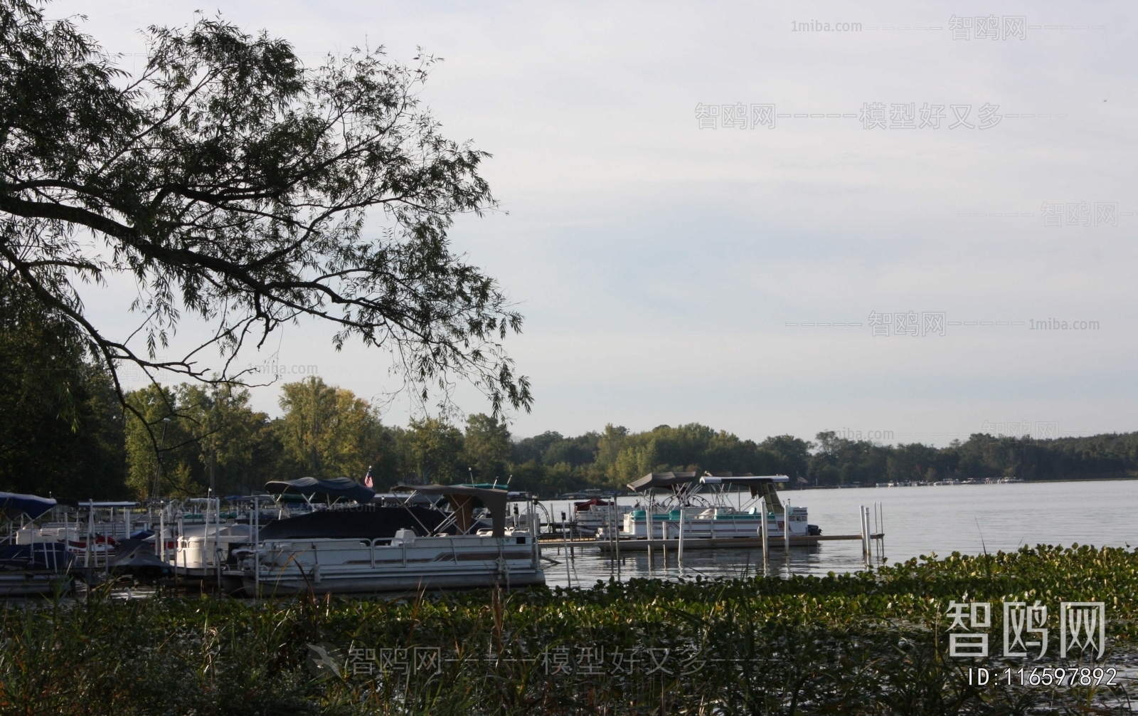 Scenery