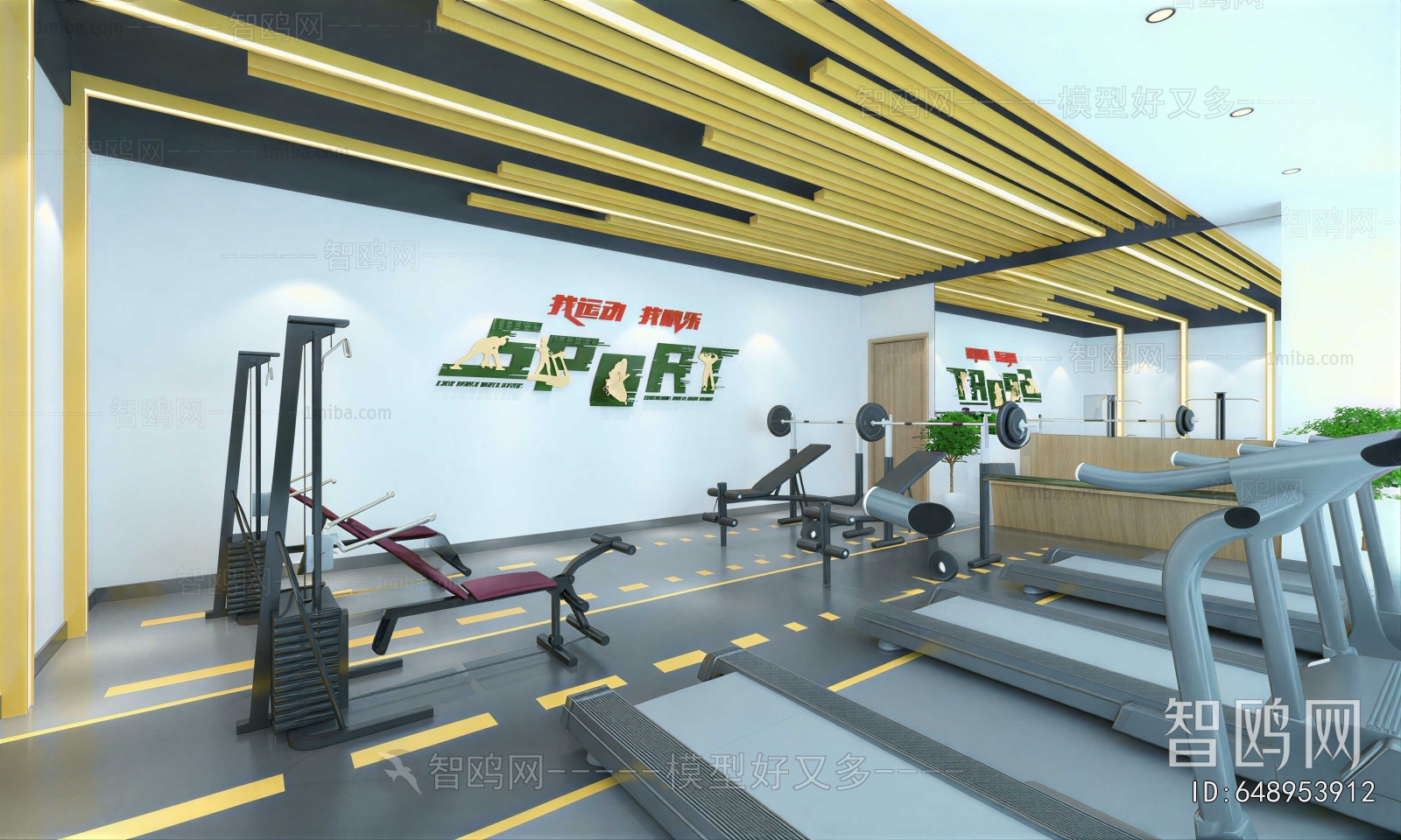 Modern Gym