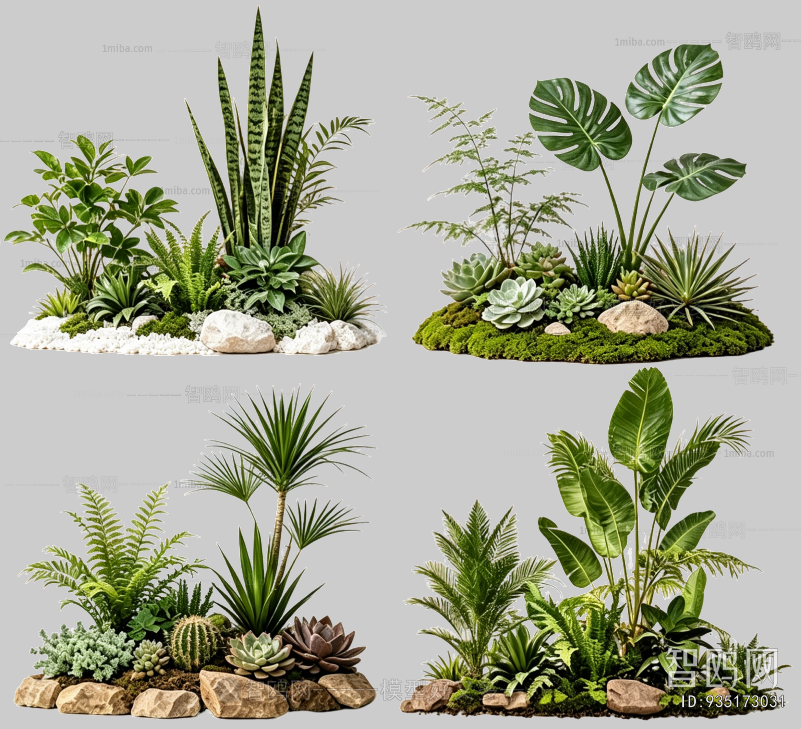 Plant Leaves