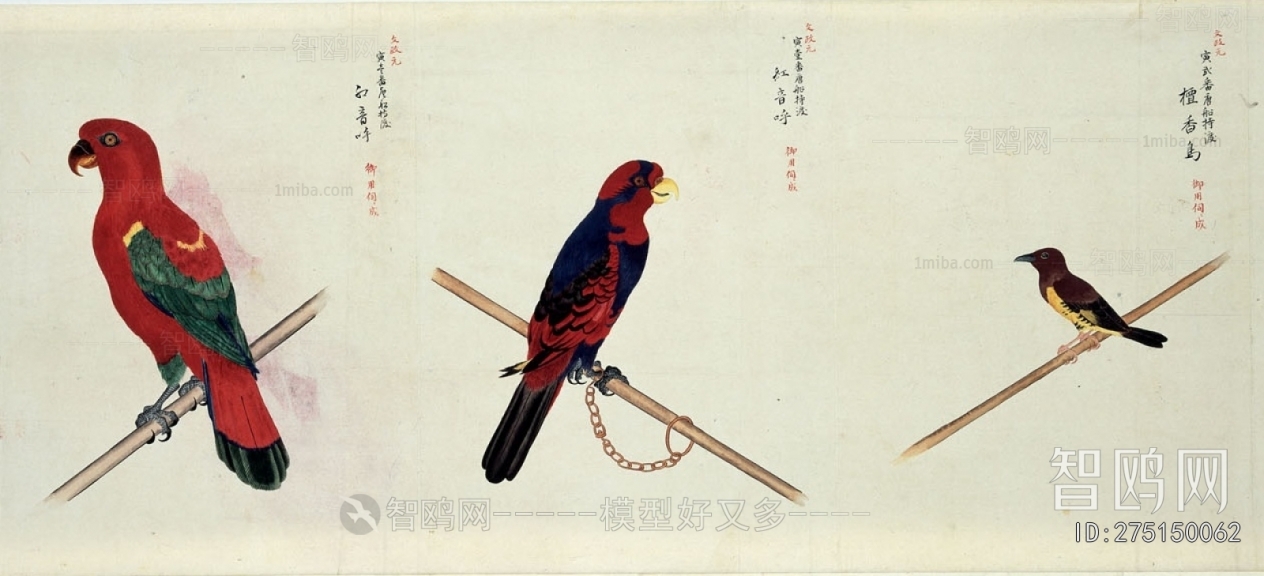 Animal Painting
