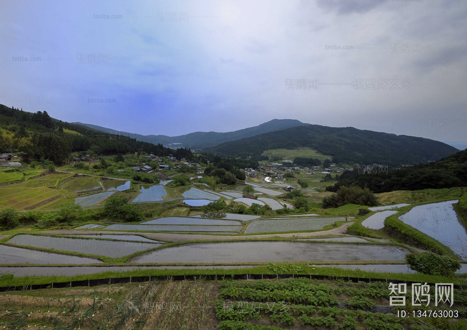 Scenery