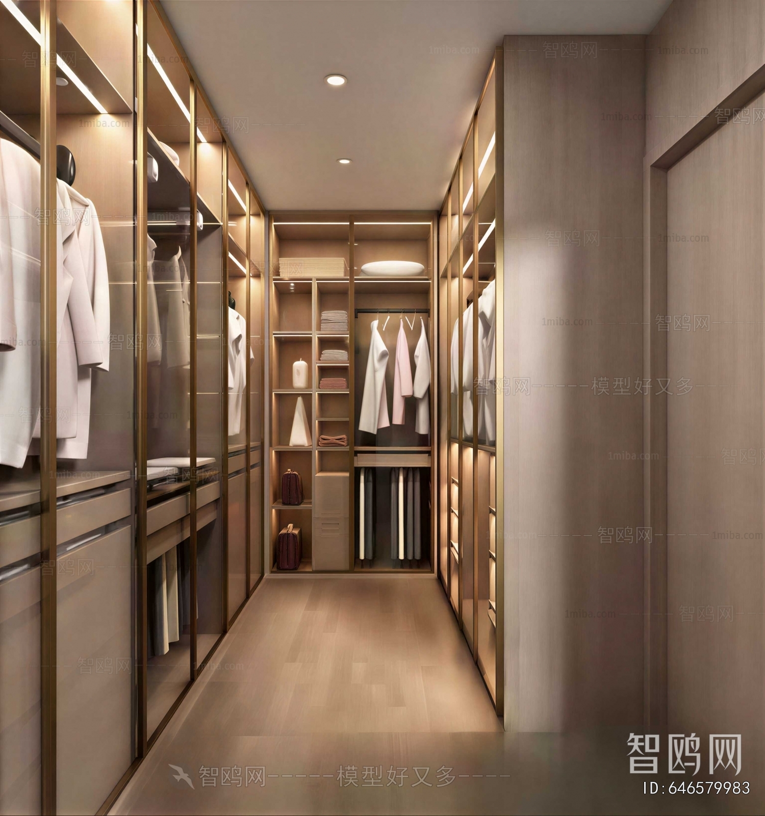 Modern Clothes Storage Area