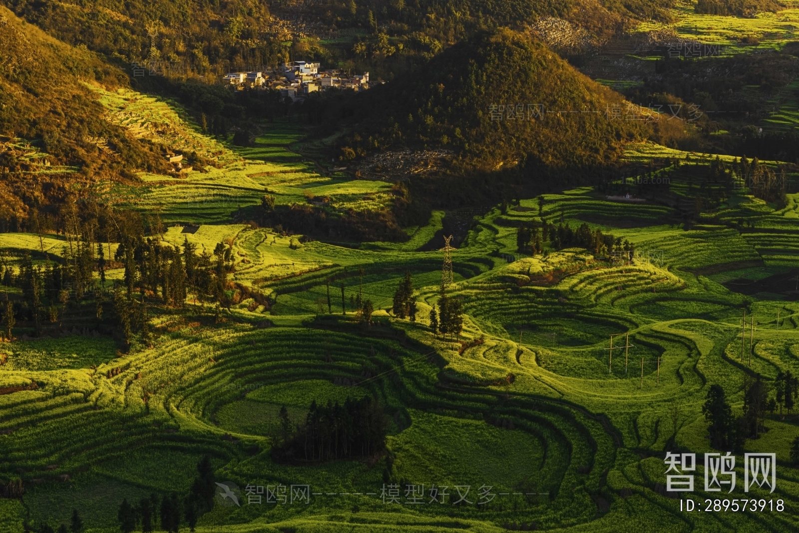 Scenery