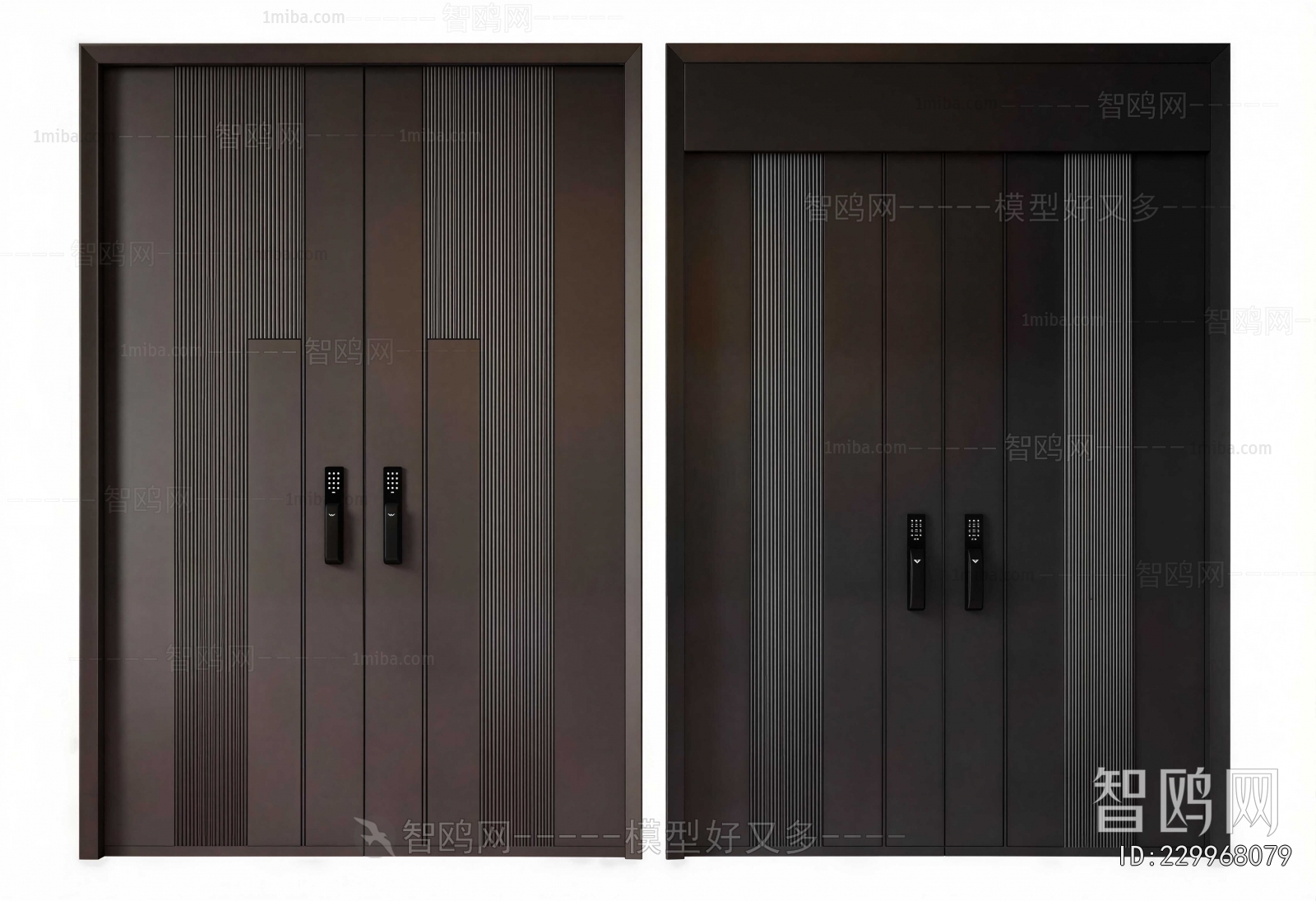 Modern Entrance Door