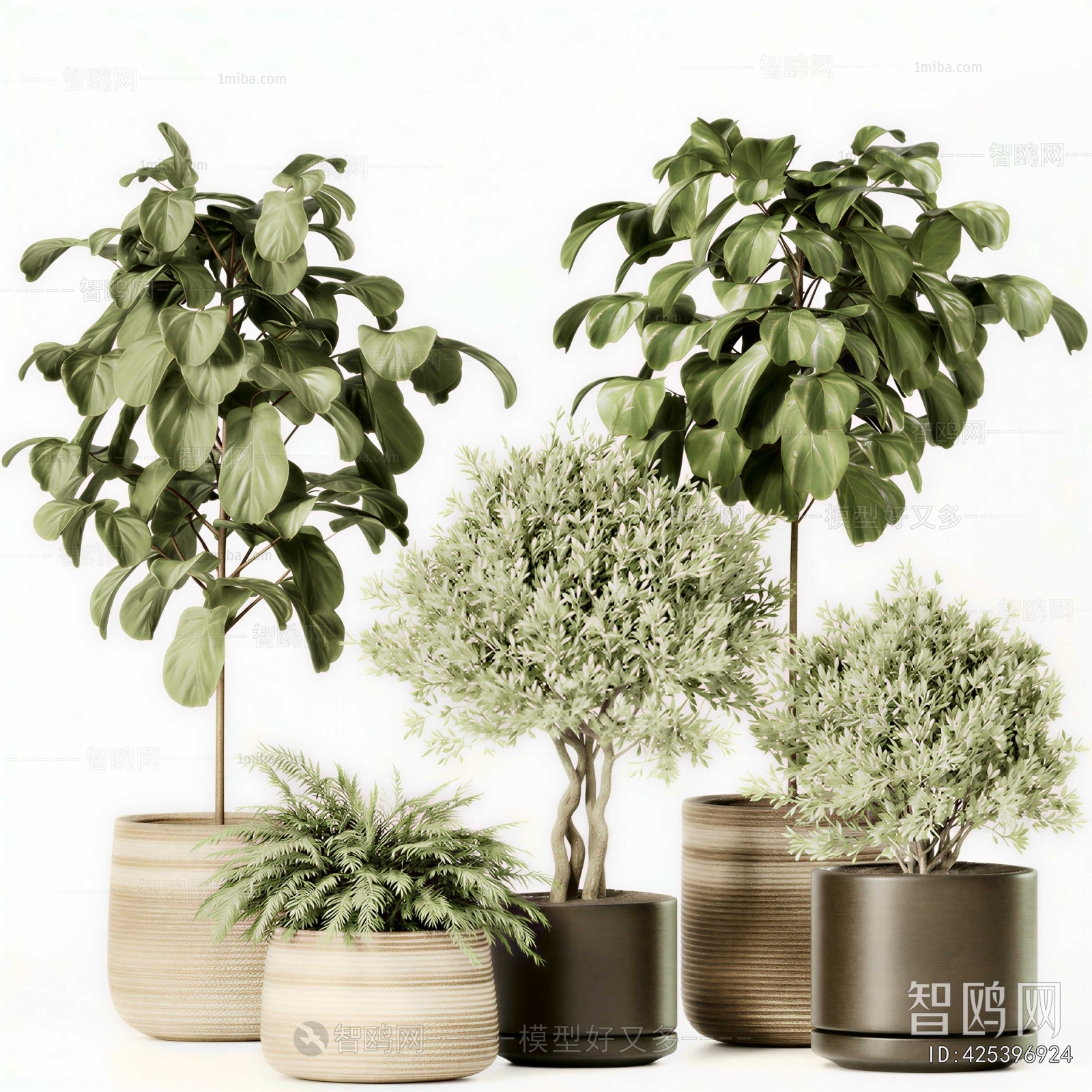 Modern Ground Green Plant Potted Plants