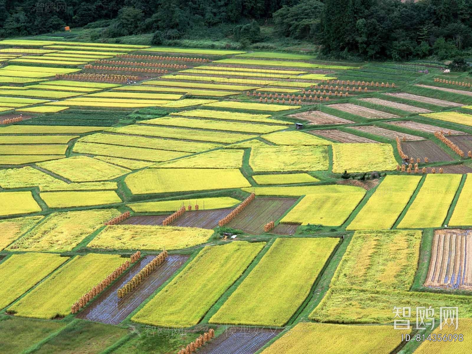 Scenery