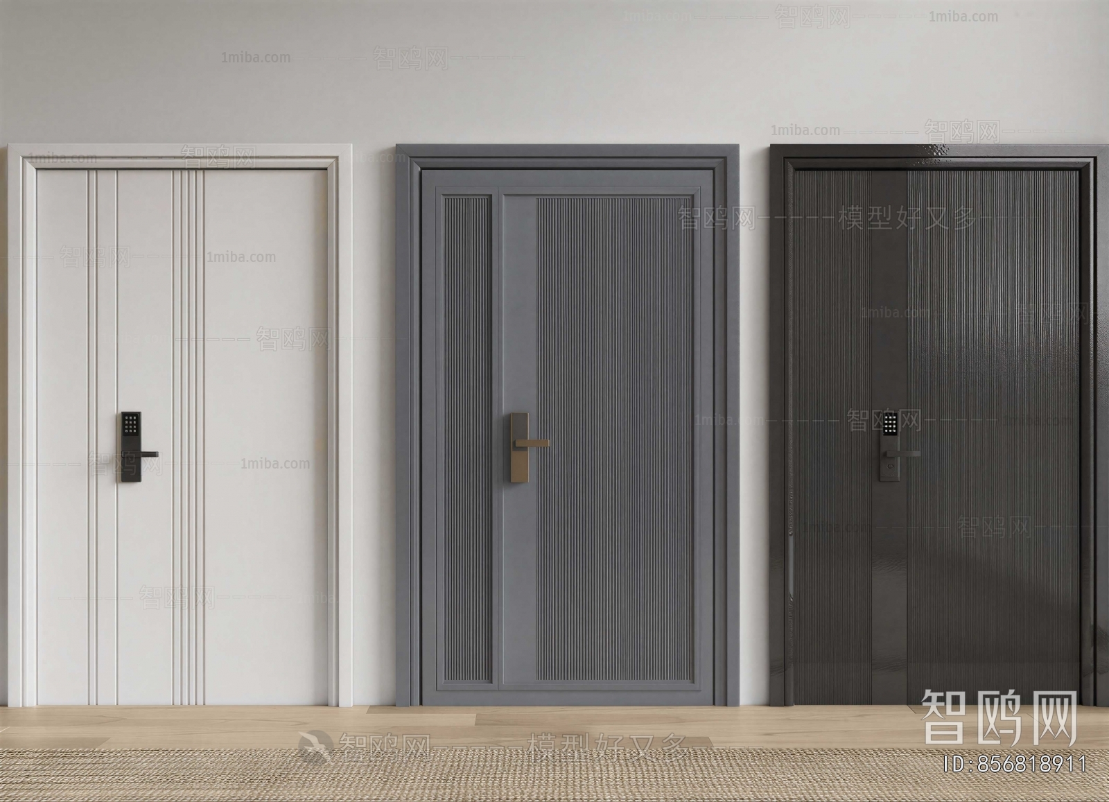 Modern Entrance Door