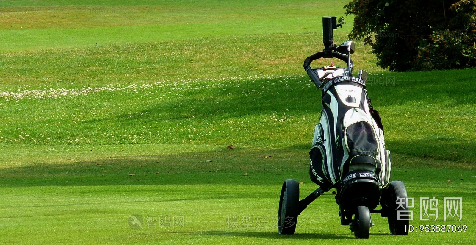 Scenery