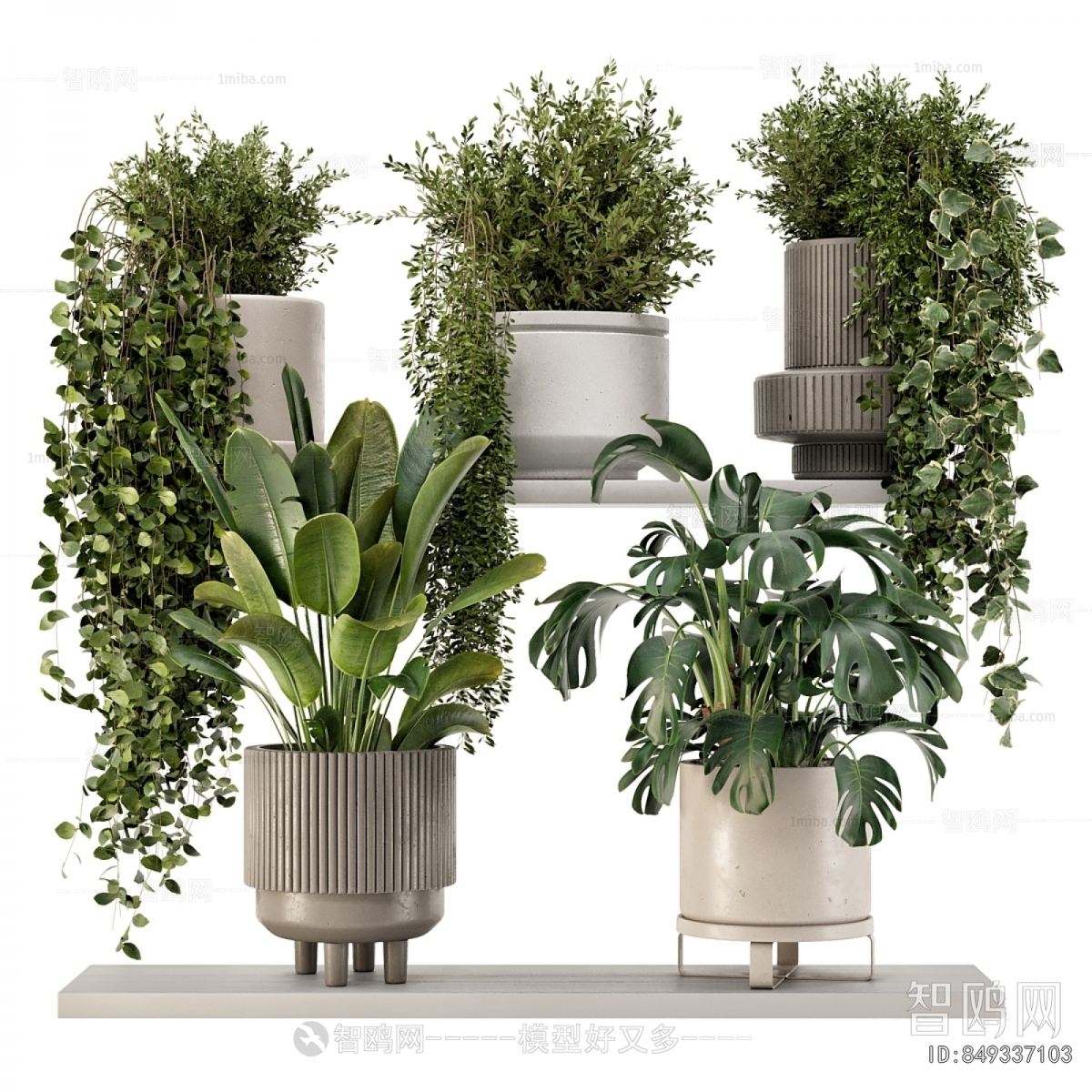 Modern Ground Green Plant Potted Plants