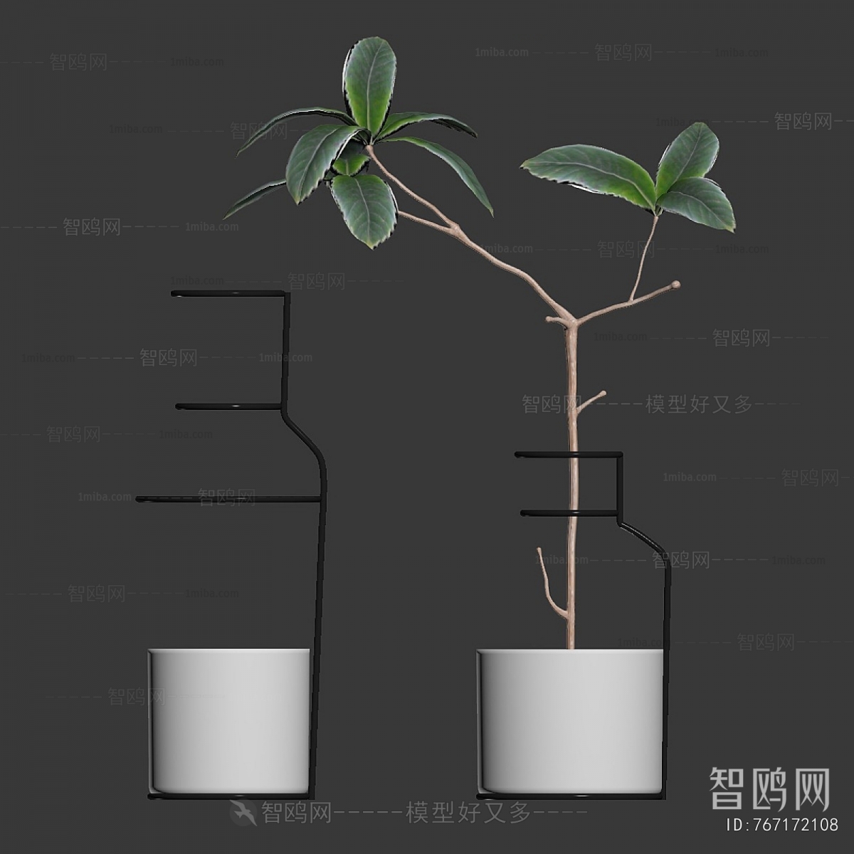 Modern Ground Green Plant Potted Plants