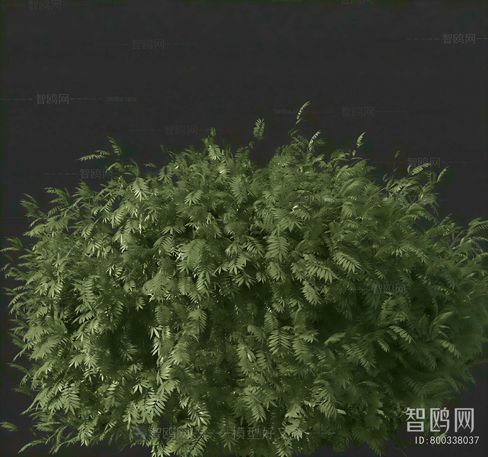 Modern Shrubbery