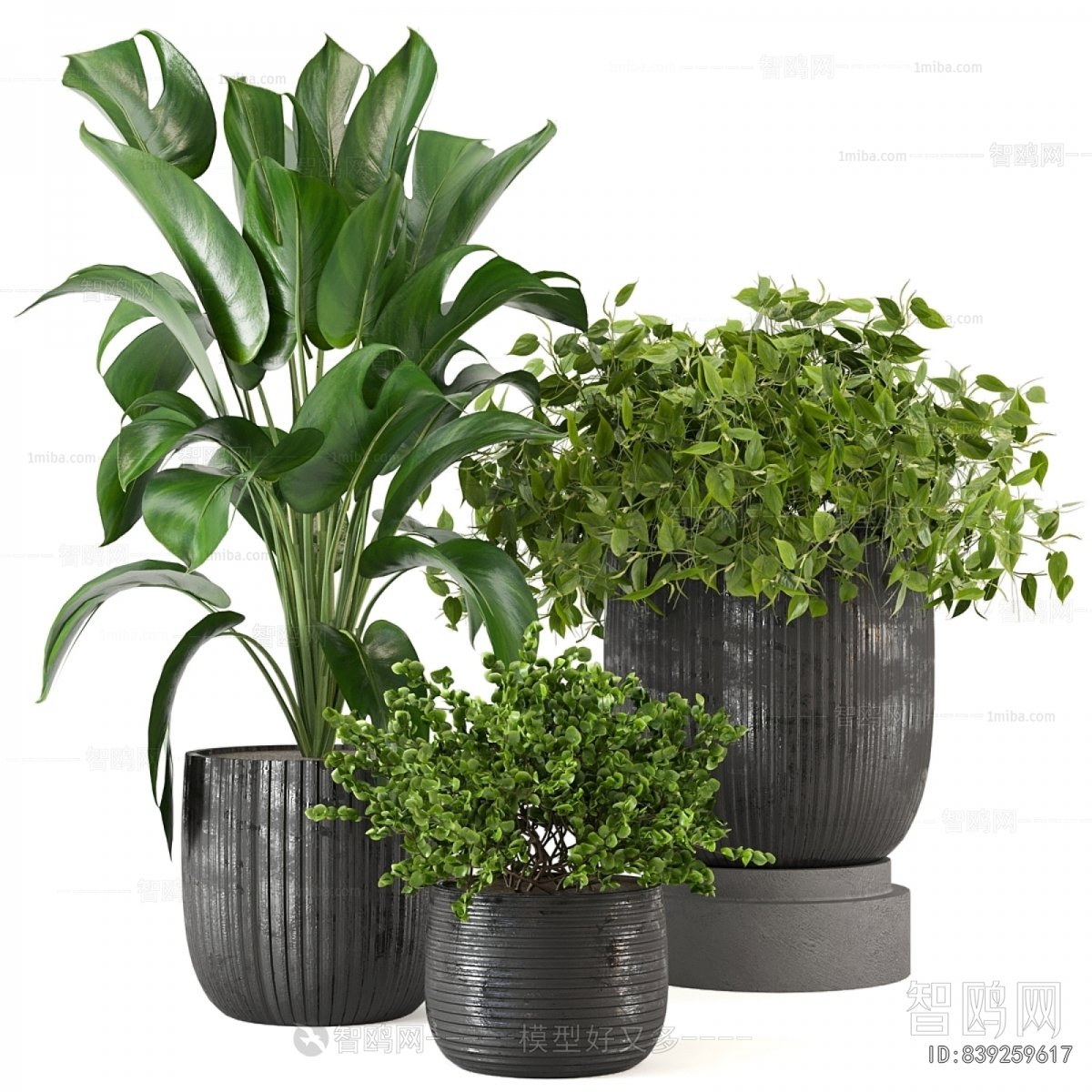 Modern Ground Green Plant Potted Plants