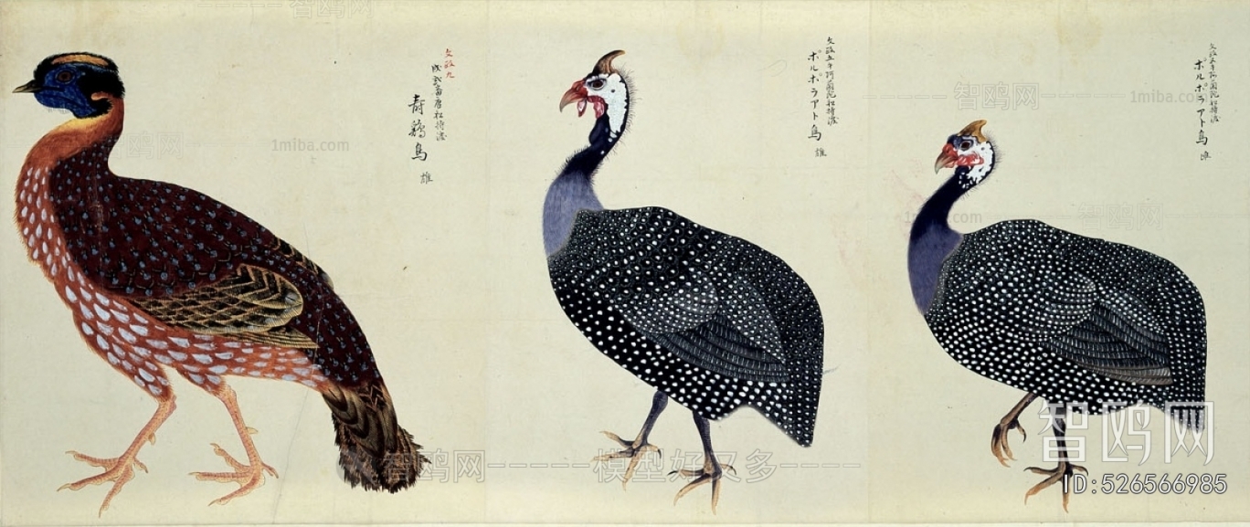 Animal Painting