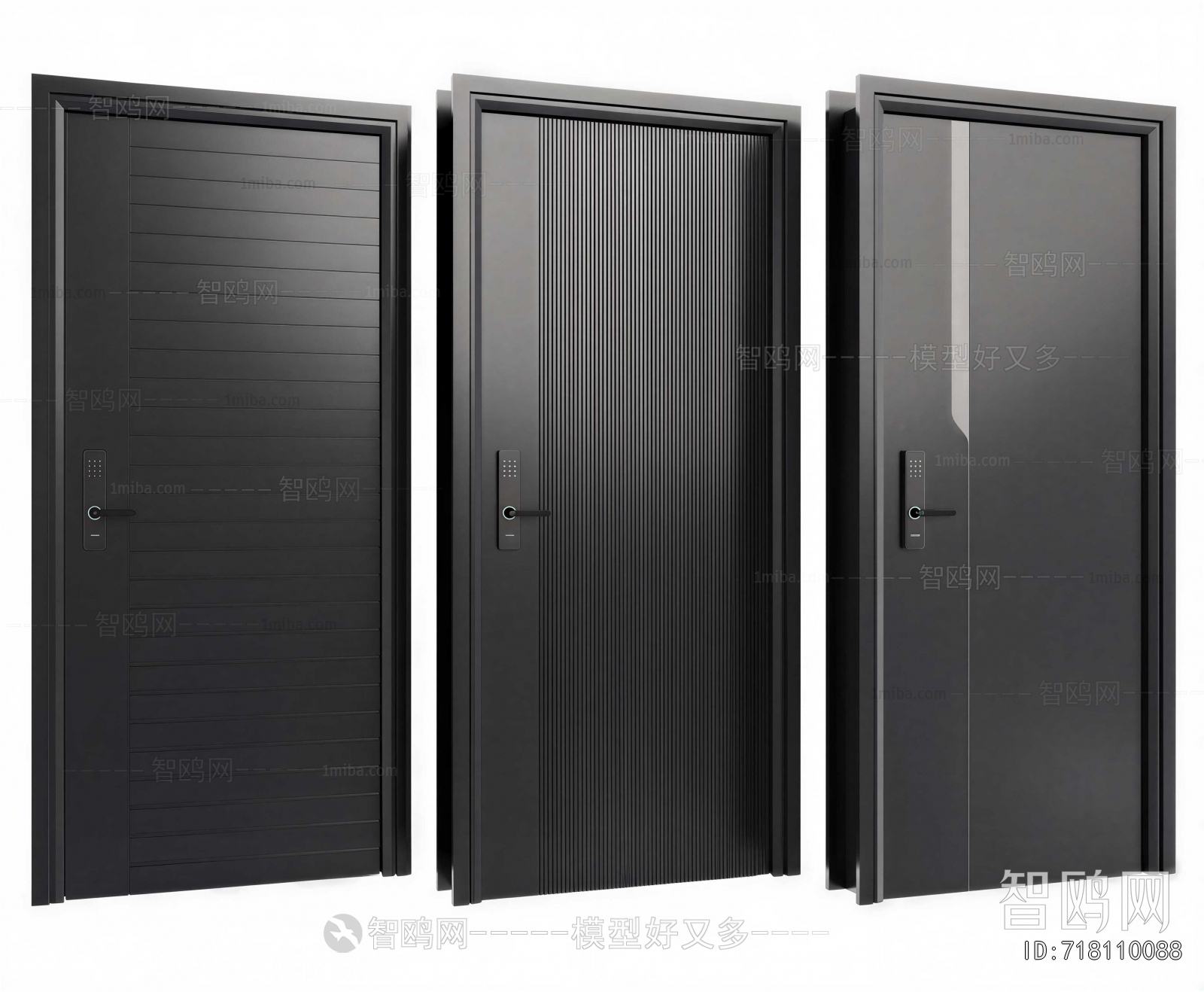 Modern Entrance Door