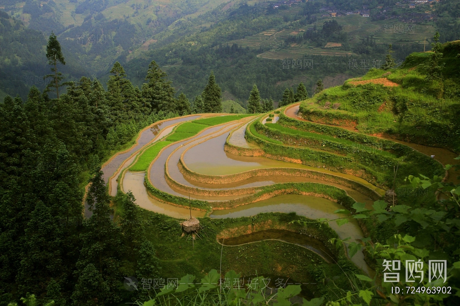Scenery
