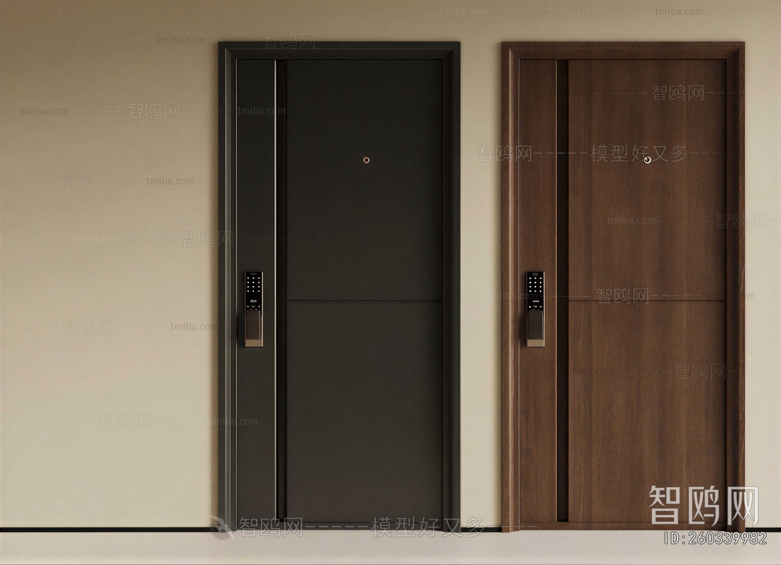 Modern Entrance Door
